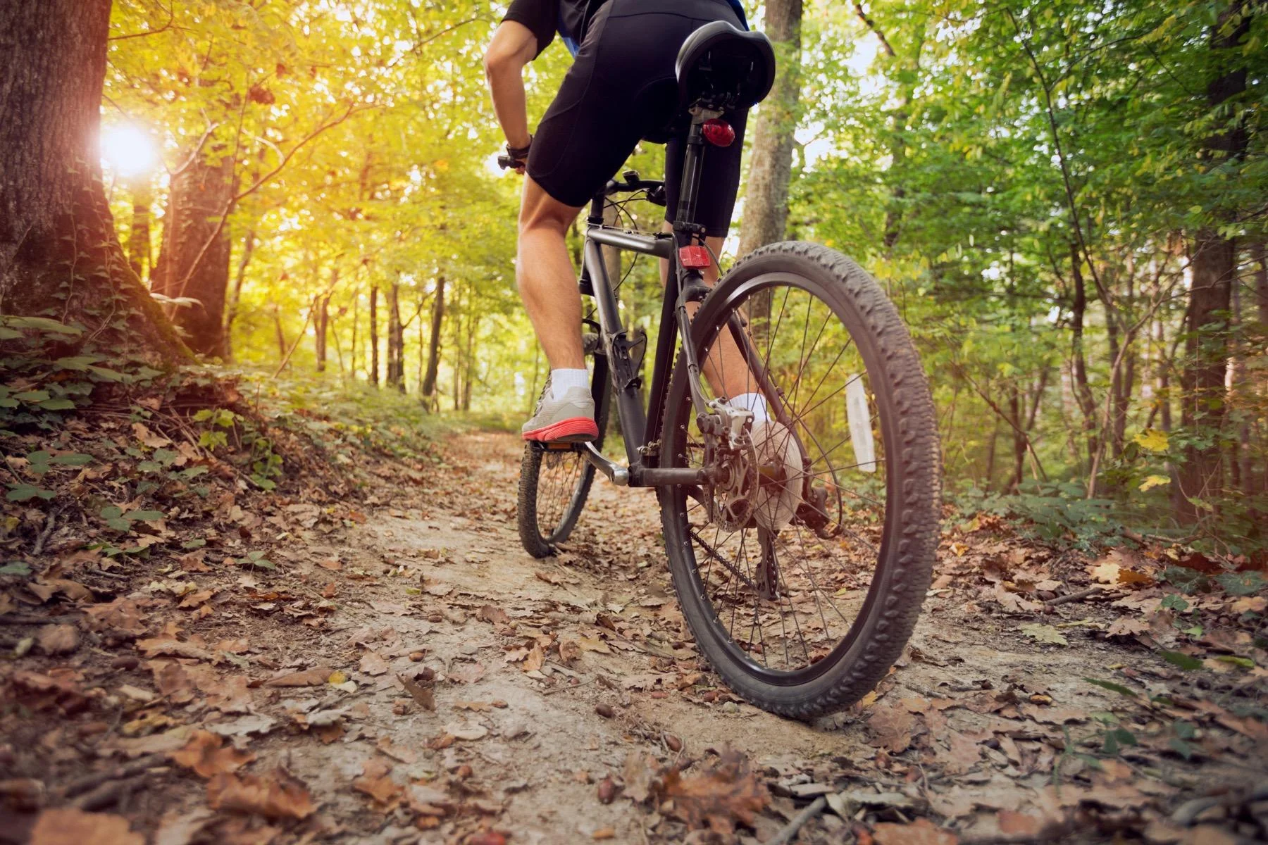 person mountain biking over leaves