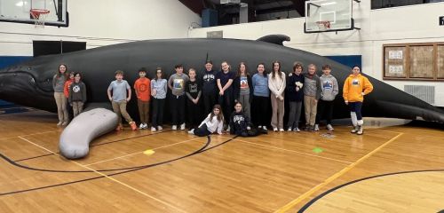 A Whale of a Time