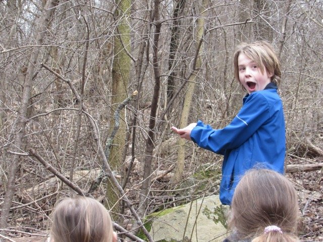 Ipswich River Wildlife Sanctuary Field Trip