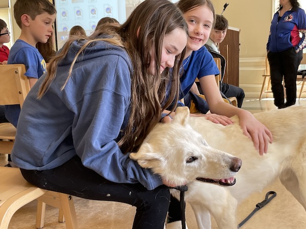 Mushing, Sled Dogs, and Marla!