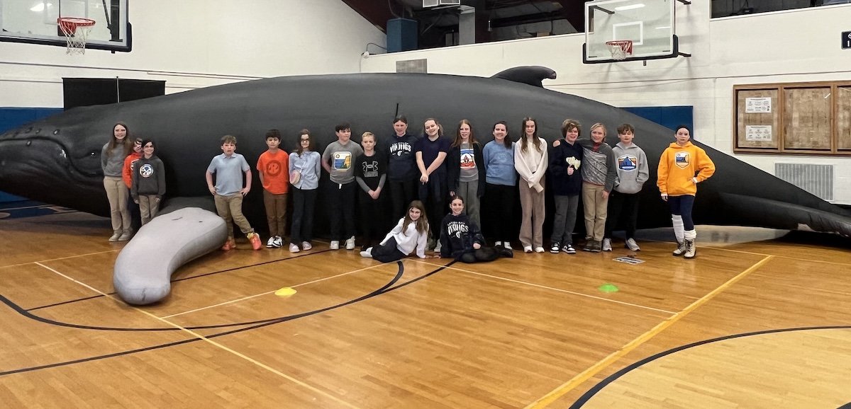 A Whale of a Time