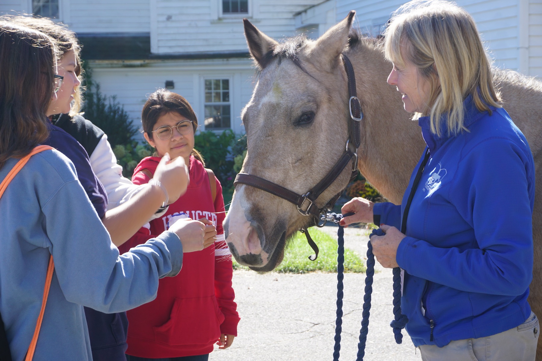 Volunteering at Windrush Farm 2022