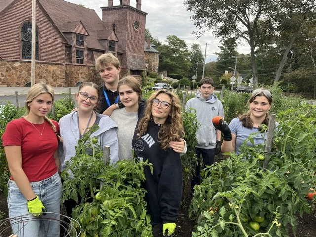 students going gardening community service