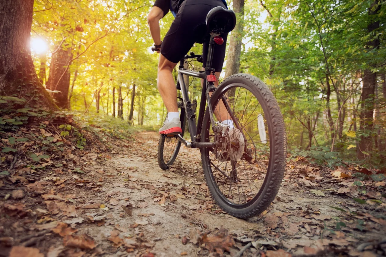 mountain biking on trails