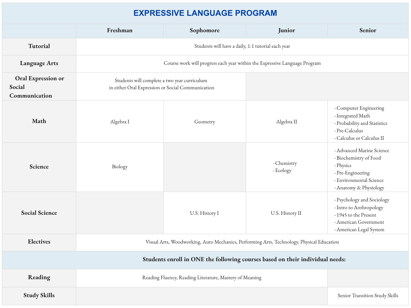 Expressive Language Program Grid