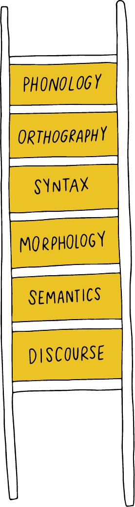 Illustration of ladder with the following words between each rung: Phonology, Orthography, Syntax, Morphology, Semantics, Discourse