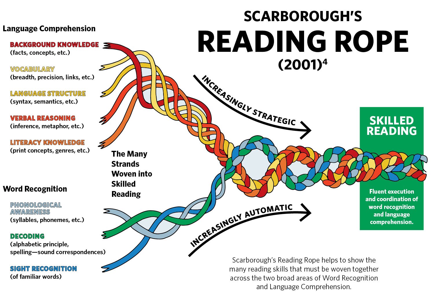 Illustration showing how the different strands of Language Comprehension and Word Recognition are woven together
