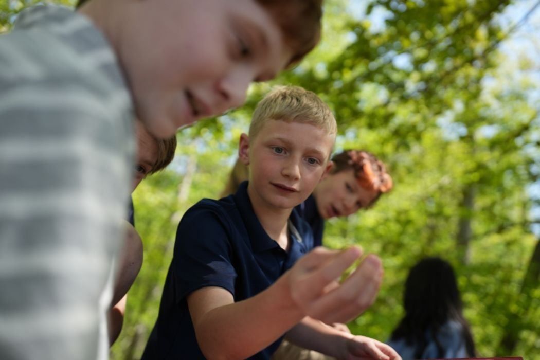 Cultivating Deep Learning: Where Inquiry Meets Structured Literacy 