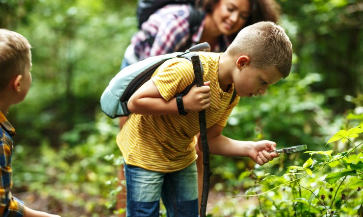 boy looking at nature