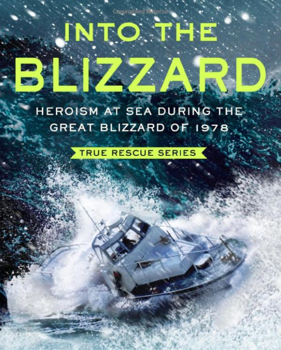 Into the Blizzard Book Cover